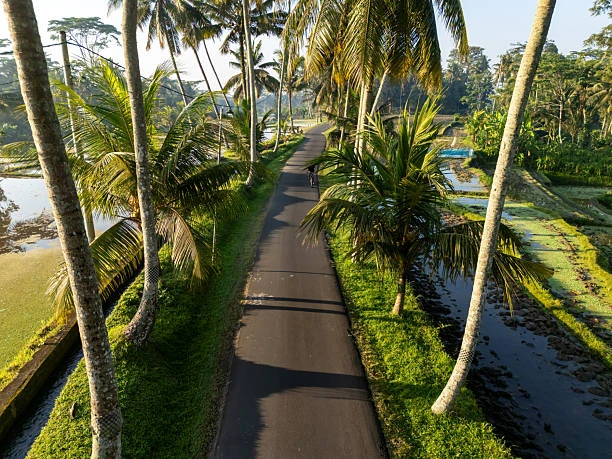 Cultural and garden-style dining in Gianyar, home to the Bali Restaurant and Cafe Association’s traditional and organic partners.